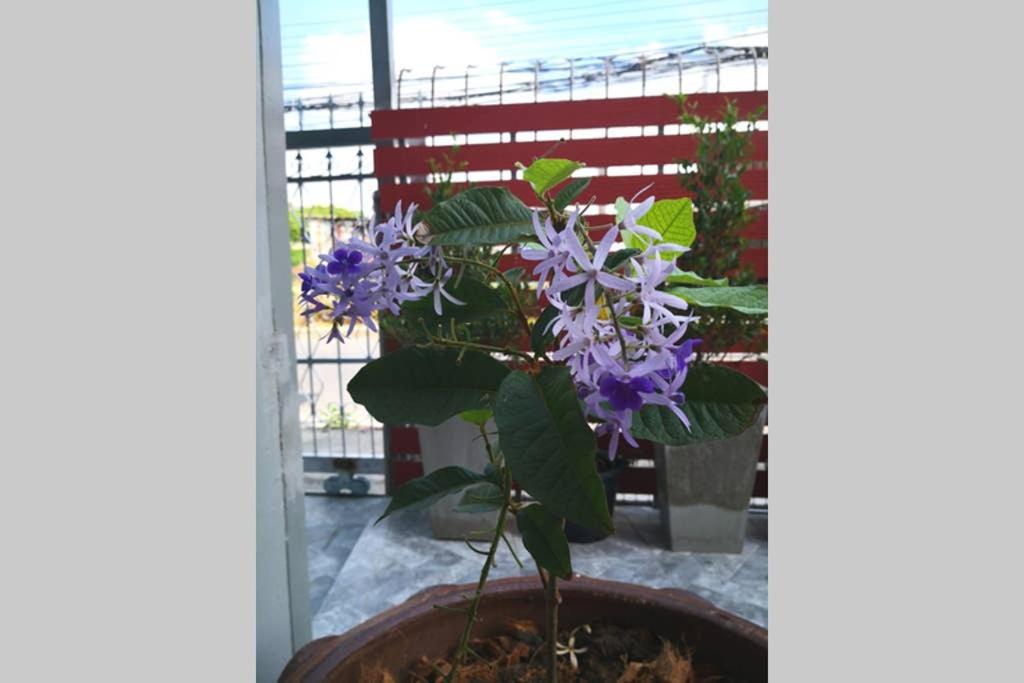 Bluebell House Hatyai - Cosy 3 Bedrooms For 10 Pax - 9 Mins Drive To Lee Grd Ban Kho Hong Zewnętrze zdjęcie